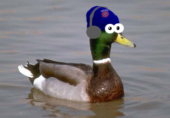 A duck wearing a Hartlepool United hat and headphones